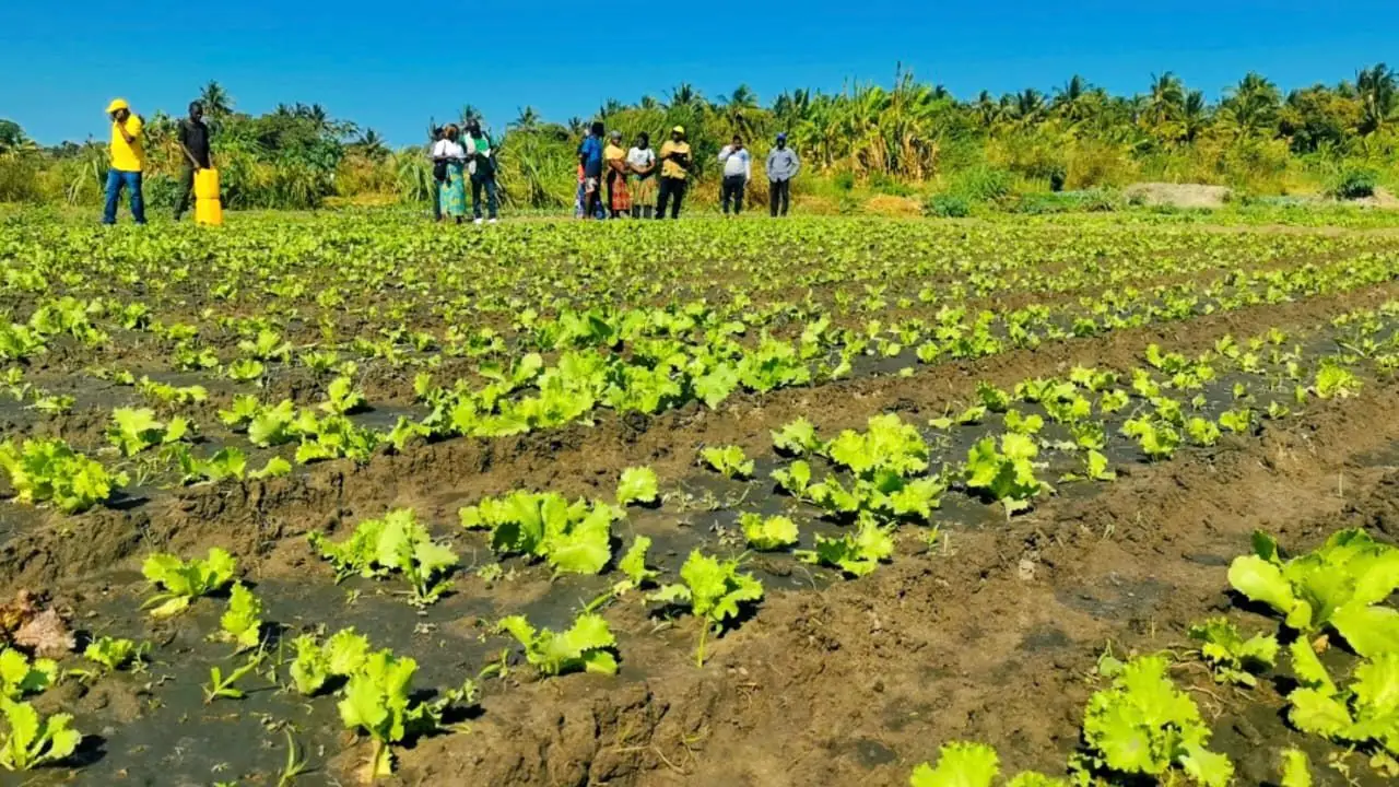 PROJETO RISE EM ANCUABE E MONTEPUEZ JÁ É UMA REALIDADE
